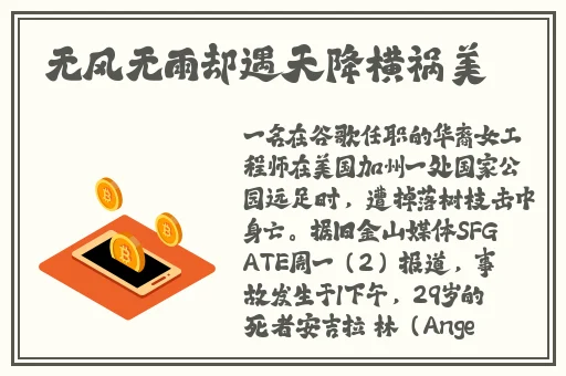 细节描写精彩片段摘抄